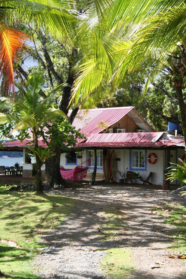 Oceanfront Bungalows - Paradise Rentals Santa Catalina Exteriör bild
